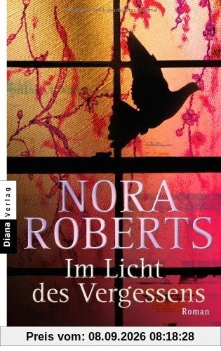 Im Licht des Vergessens: Roman