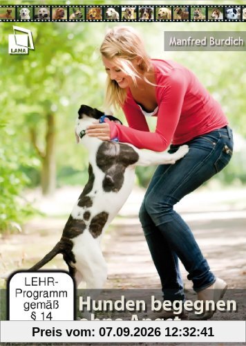 Hunden begegnen ohne Angst