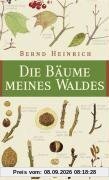 Die Bäume meines Waldes