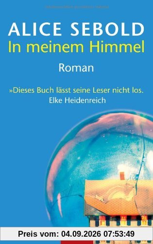 In meinem Himmel: Roman