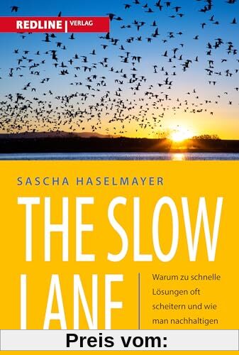The Slow Lane: Warum zu schnelle Lösungen oft scheitern und wie man nachhaltigen Wandel herbeiführt