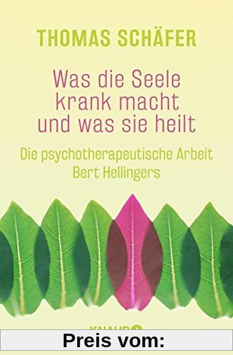 Was die Seele krank macht und was sie heilt: Die psychotherapeutische Arbeit Bert Hellingers