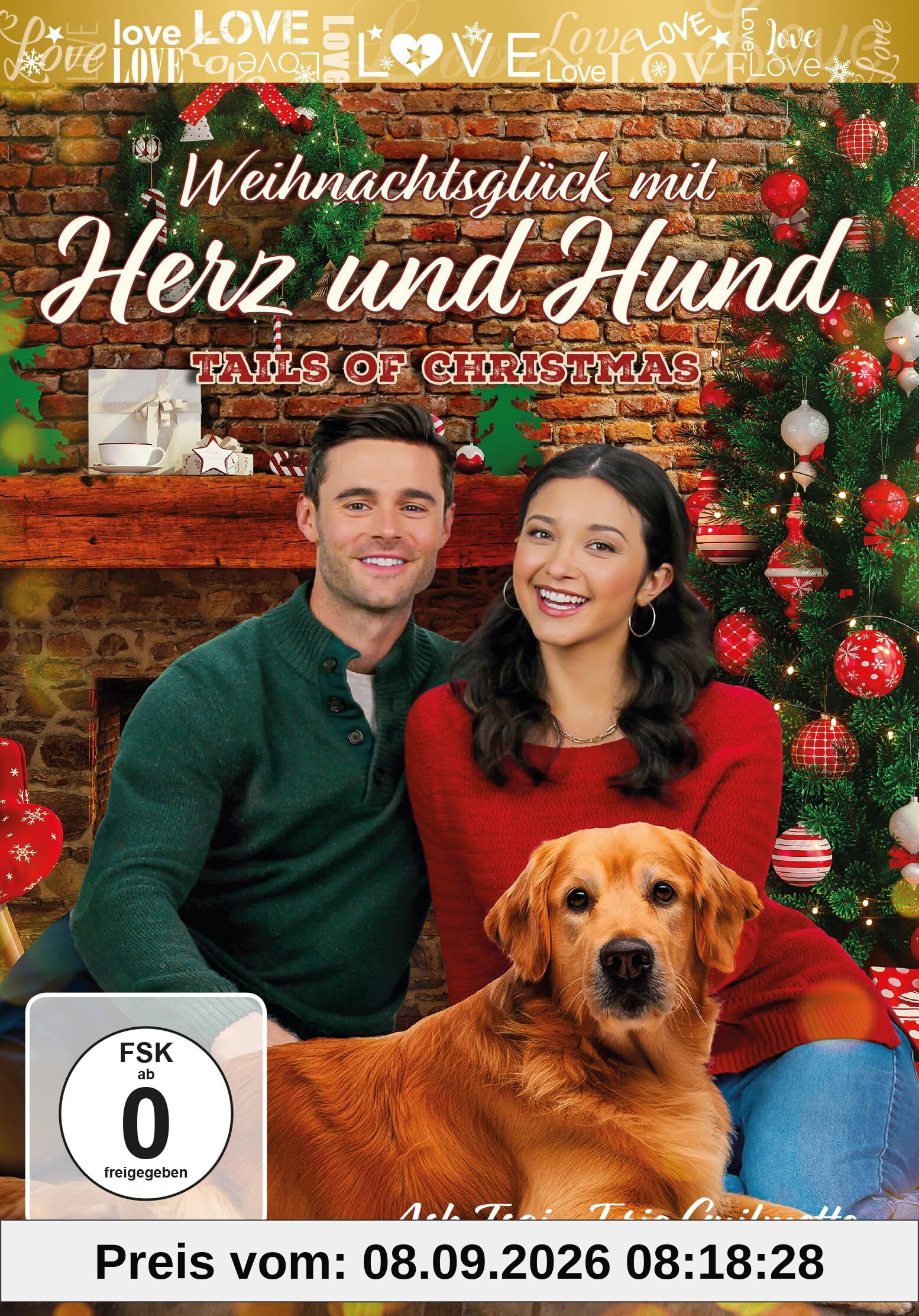 Weihnachtsglück mit Herz und Hund - Tails of Christmas