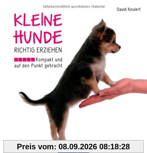 Kleine Hunde richtig erziehen: Kompakt und auf den Punkt gebracht