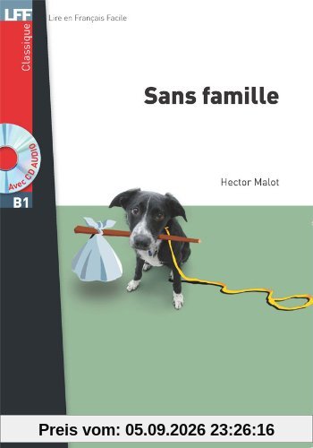Sans famille : niveau A2-B1