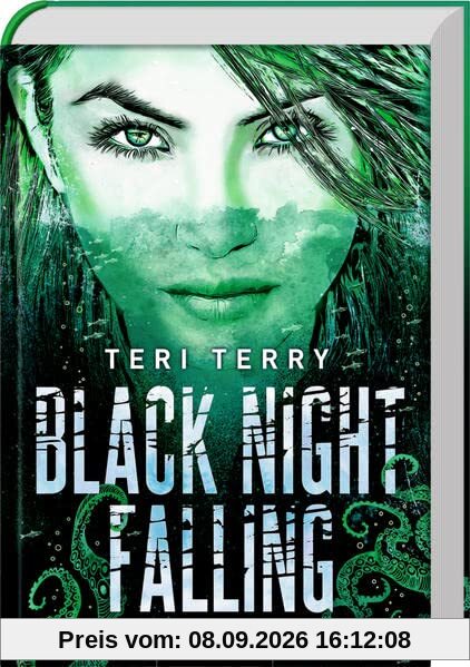 Black Night Falling (Bd. 3) (Dark Blue Rising, Band 3)