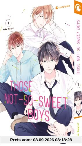 Those Not-So-Sweet Boys – Band 1