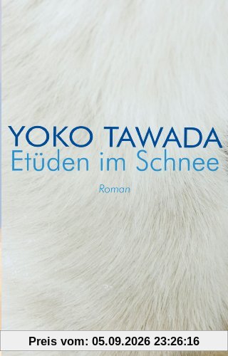 Etüden im Schnee: Roman