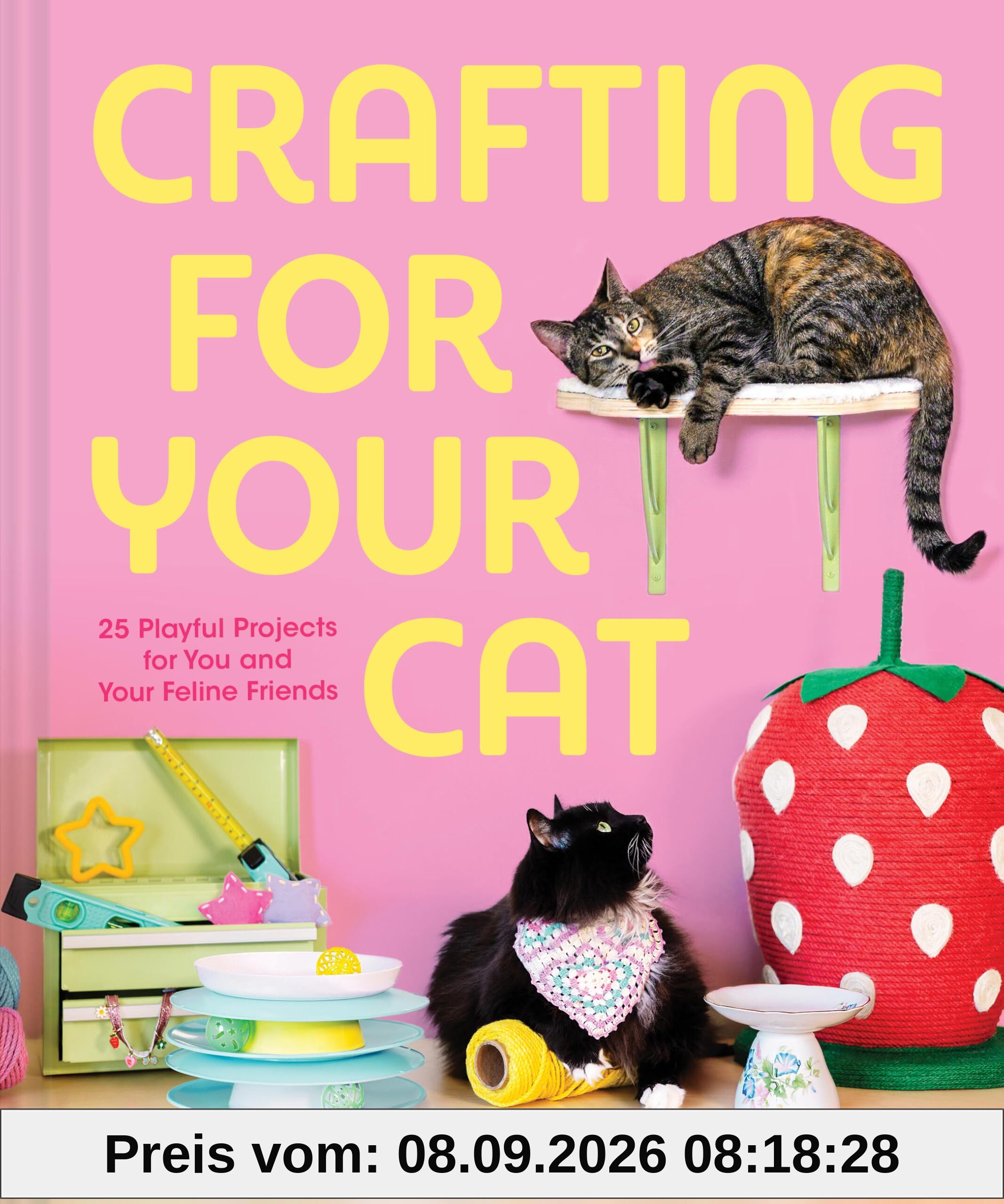 Crafting for Your Cat: 25 Playful Projects for You and Your Feline Friends