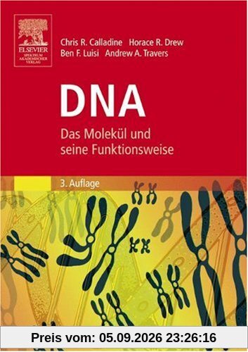 DNA: Das Molekül und seine Funktionsweise