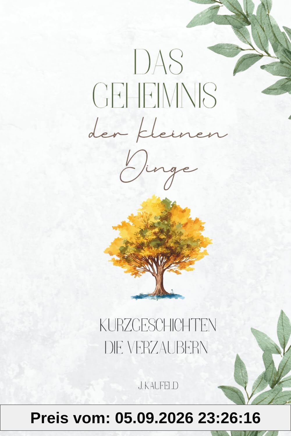 Das Gehemnis der kleinen Dinge - Kurzgeschichten die verzaubern