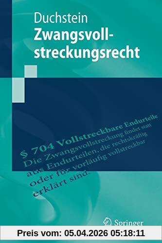 Zwangsvollstreckungsrecht (Springer-Lehrbuch)