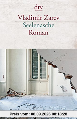 Seelenasche: Roman (dtv Literatur)