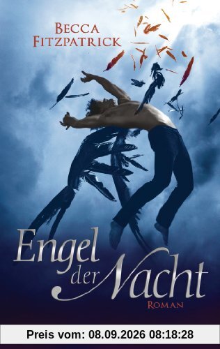 Engel der Nacht 1: Roman