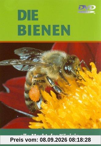Die Bienen - Alle Macht der Königin