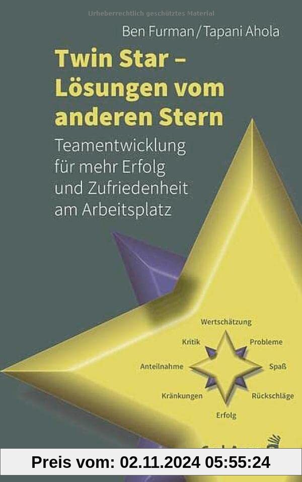 Twin Star - Lösungen von anderen Stern: Teamentwicklung für mehr Erfolg und Zufriedenheit am Arbeitsplatz (Fachbücher fü