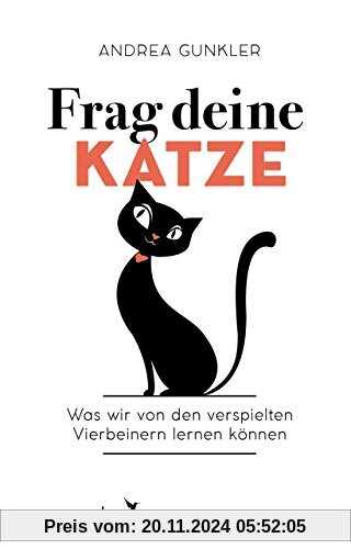 Frag deine Katze: Was wir von den verspielten Vierbeinern lernen können