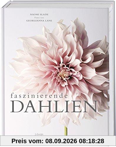 Faszinierende Dahlien