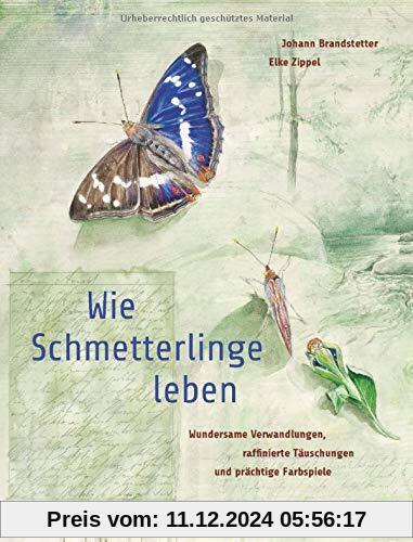 Wie Schmetterlinge leben: Wundersame Verwandlungen, raffinierte Täuschungen und prächtige Farbspiele