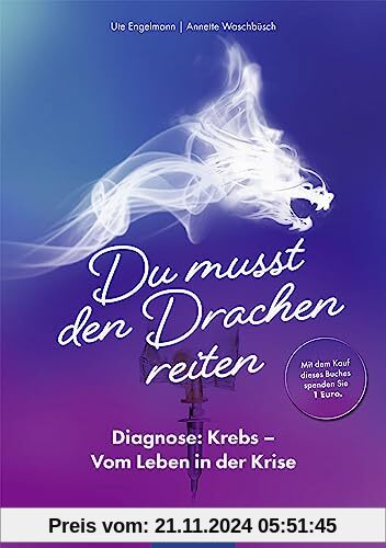 Du musst den Drachen reiten: Diagnose: Krebs - Vom Leben in der Krise