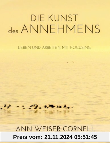 Die Kunst des Annehmens: Leben und Arbeiten mit Focusing