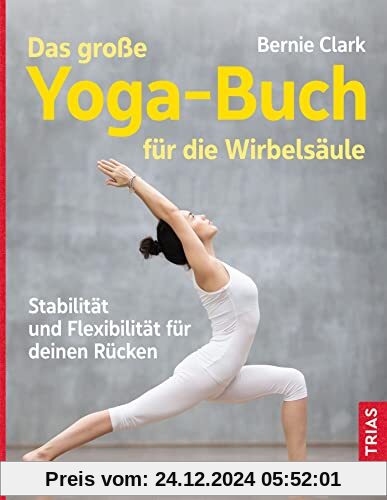 Das große Yoga-Buch für die Wirbelsäule: Stabilität und Flexibilität für deinen Rücken