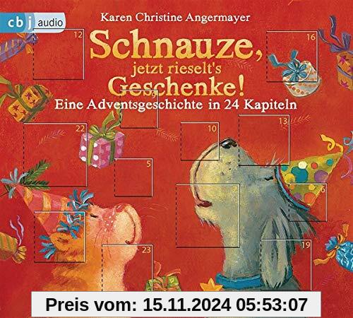 Schnauze, jetzt rieselt's Geschenke: Eine Adventsgeschichte in 24 Kapiteln (Die Schnauze-Reihe, Band 6)