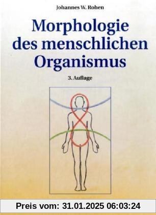 Morphologie des menschlichen Organismus