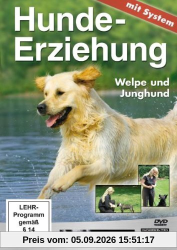Hundeerziehung mit System: Welpe und Junghund