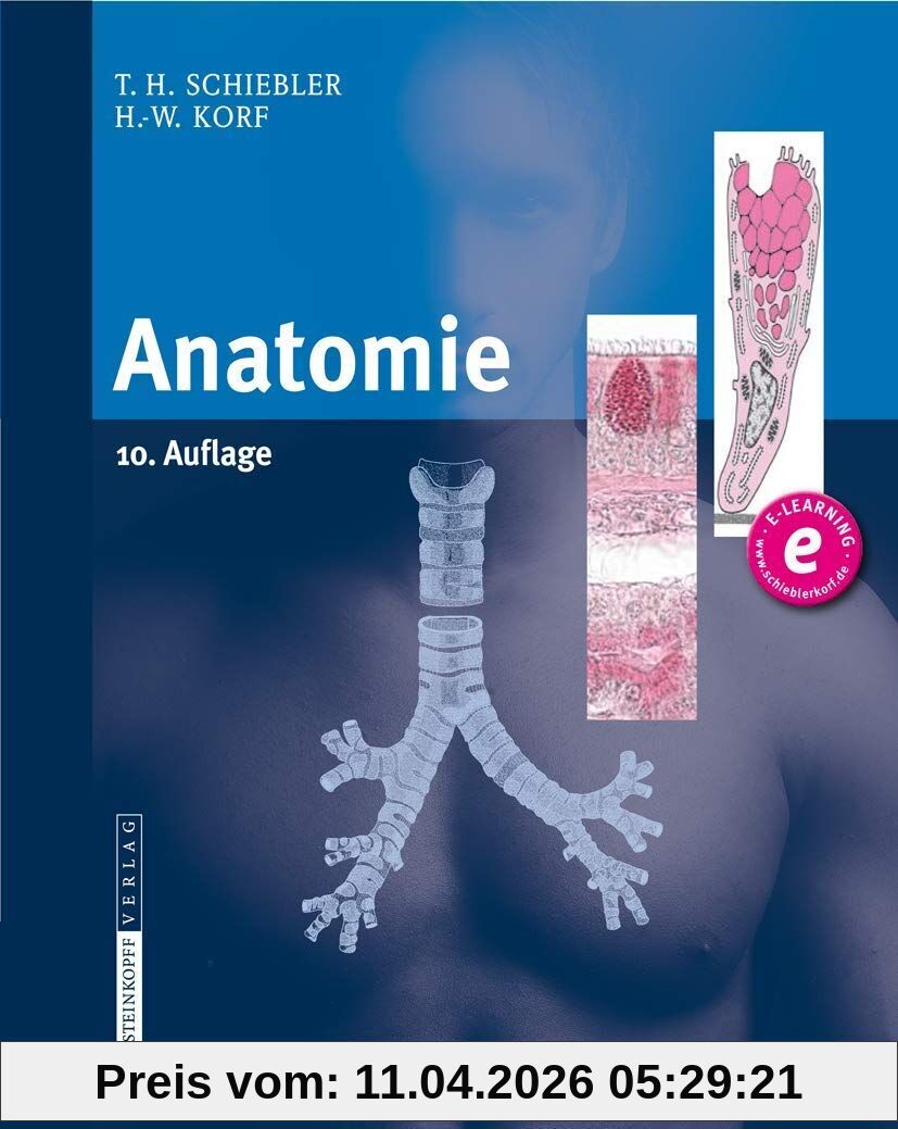 Anatomie