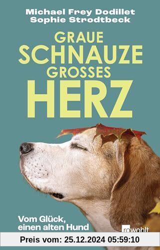 Graue Schnauze, großes Herz: Vom Glück, einen alten Hund zu haben