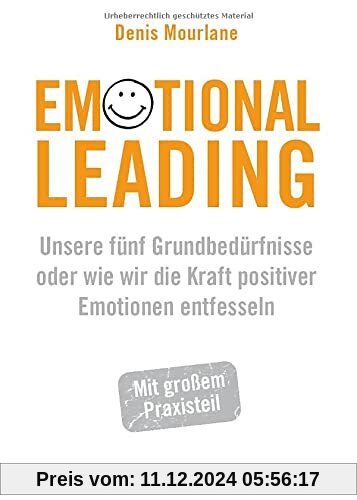 Emotional Leading: Unsere fünf Grundbedürfnisse oder wie wir die Kraft positiver Emotionen entfesseln