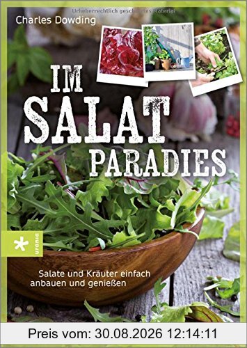 Im Salatparadies: Salate und Kräuter einfach anbauen und genießen