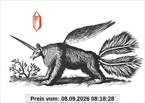 Die Freiheit (Lim.Boxset)