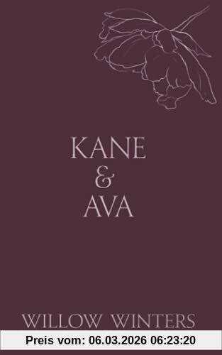 Willow Winters Kane & Ava, Rough Touch (Discreet Series, Band 3)