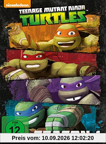Teenage Mutant Ninja Turtles - Season 1 [4 DVDs]