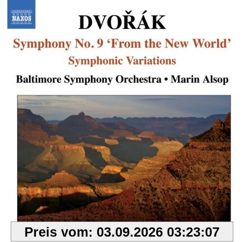 Sinfonie 9/Symph.Variationen