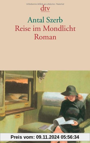 Reise im Mondlicht: Roman