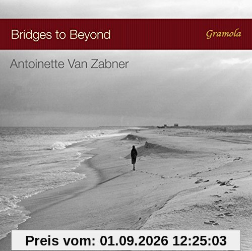 Bridges to Beyond