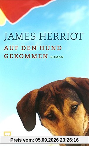 Auf den Hund gekommen