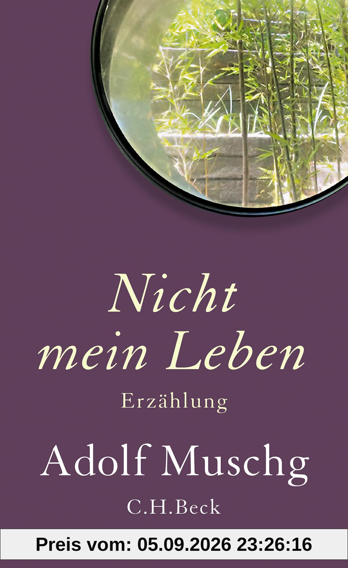 Nicht mein Leben: Erzählung