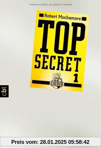 Top Secret 1 - Der Agent