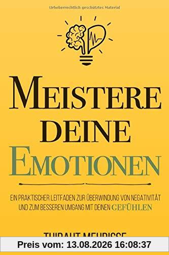Meistere Deine Emotionen: Ein praktischer Leitfaden zur Überwindung von Negativität und zum besseren Umgang mit deinen Gefühlen