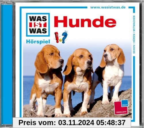 Hunde (Einzelfolge)