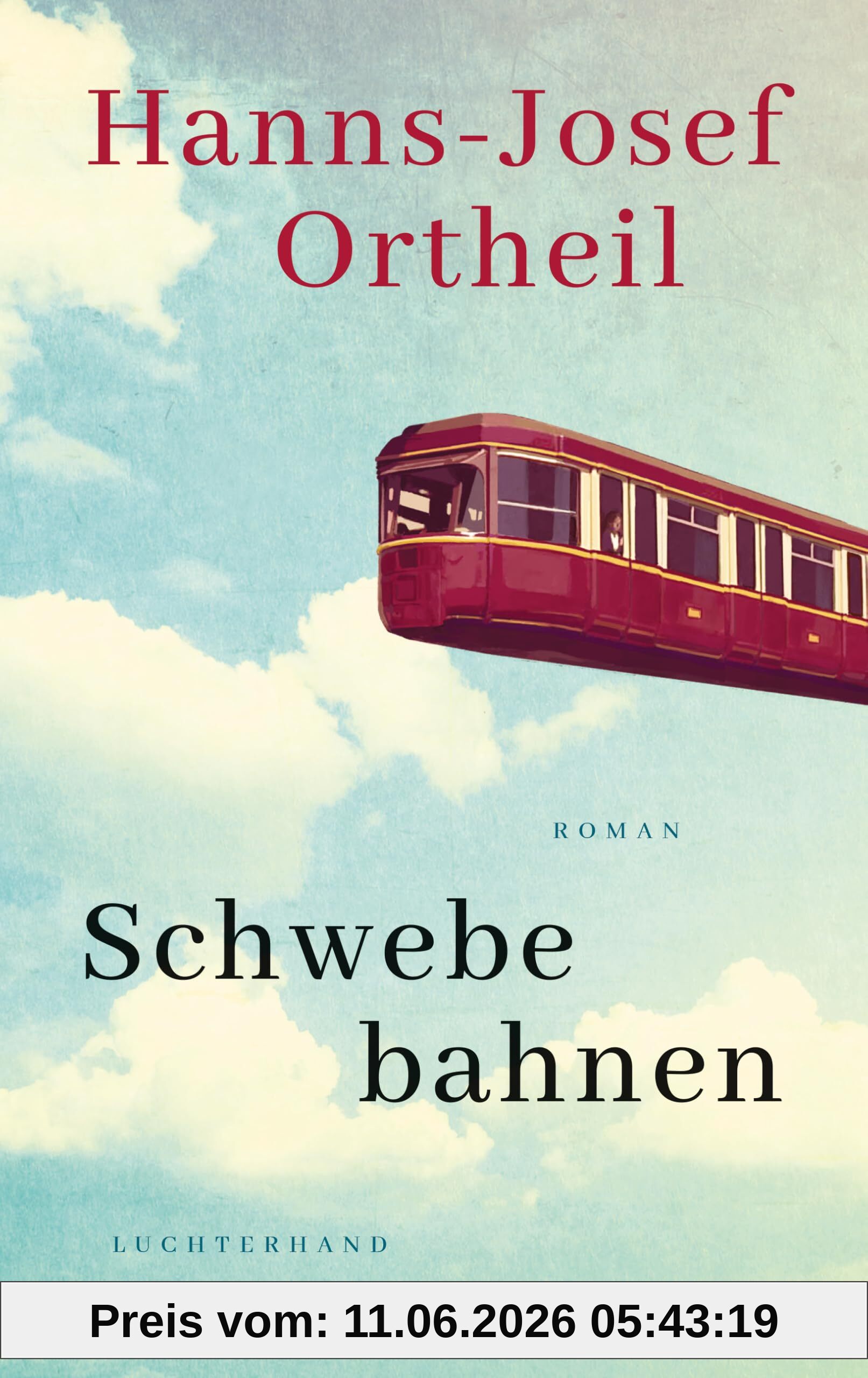 Schwebebahnen: Roman