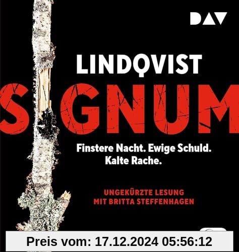 Signum: Ungekürzte Lesung mit Britta Steffenhagen (2 mp3-CDs) (Stormland)