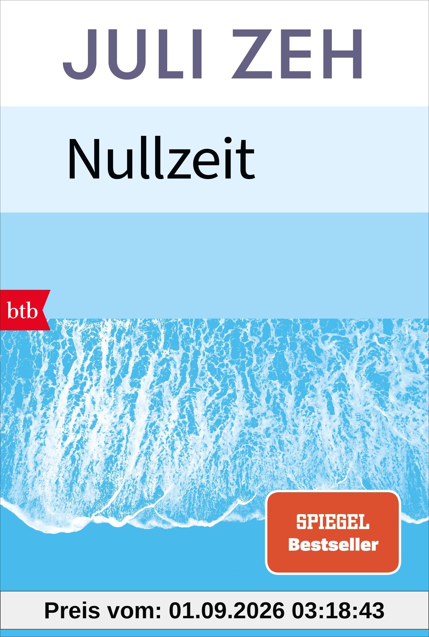 Nullzeit: Roman
