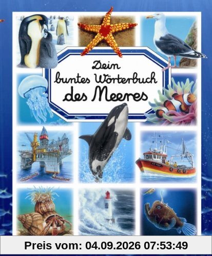 Dein buntes Wörterbuch des Meeres