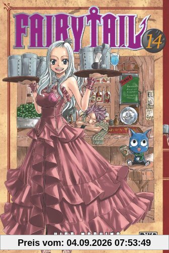 Fairy Tail. Vol. 14