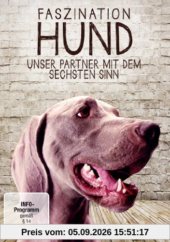 Faszination Hund - Unser Partner mit dem sechsten Sinn